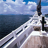 Tauchkreutzfahrtschiff Indonesia - Komodo