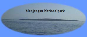 Menjangan Island - West Bali