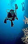 Bali Scuba Diving
